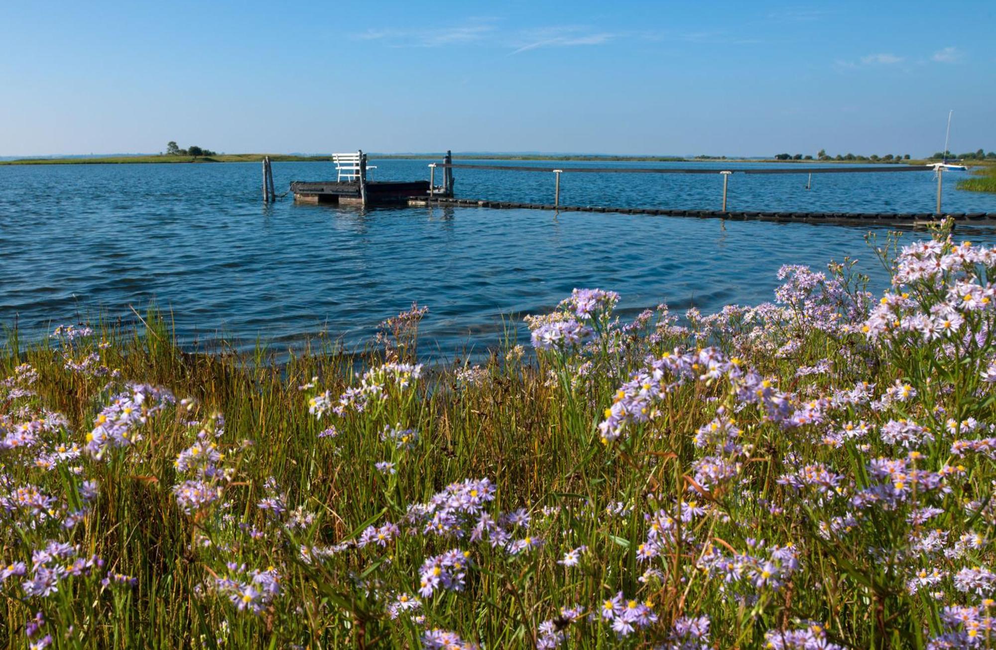 Fischerstieg Pier 17